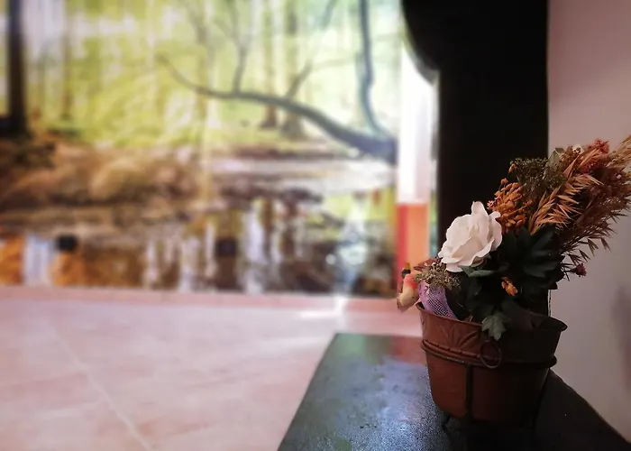 Affittacamere Karingo House