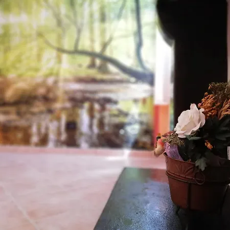 Casa de hóspedes Karingo House